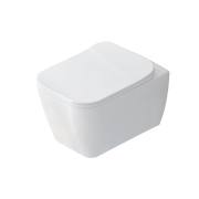 Halley Integrated Faucet Wall Hung WC Pan